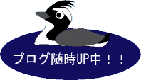 学生バードソン2009実行委員会ブログ