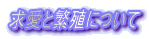 ƔɐBɂ